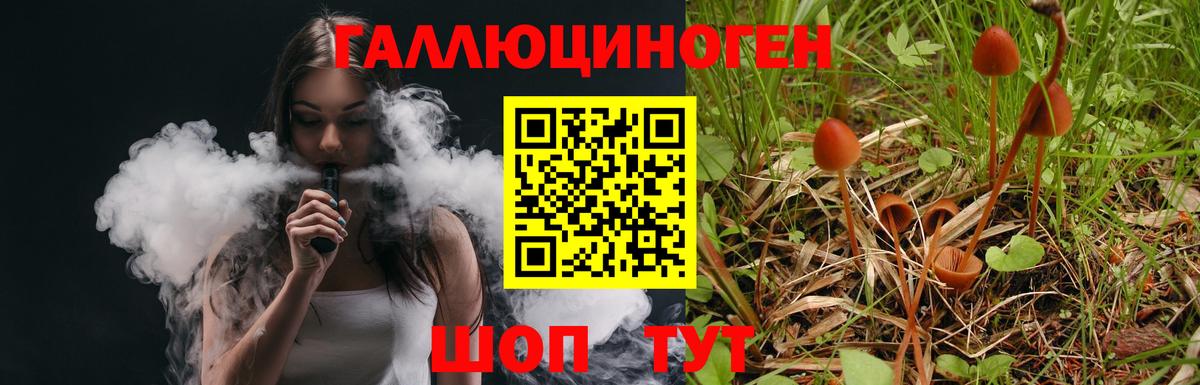 Советская Гавань  Галлюциногенные грибы прущие грибы  Вход с VPN  Галлюциногенные грибы MAGIC MUSHROOMS 